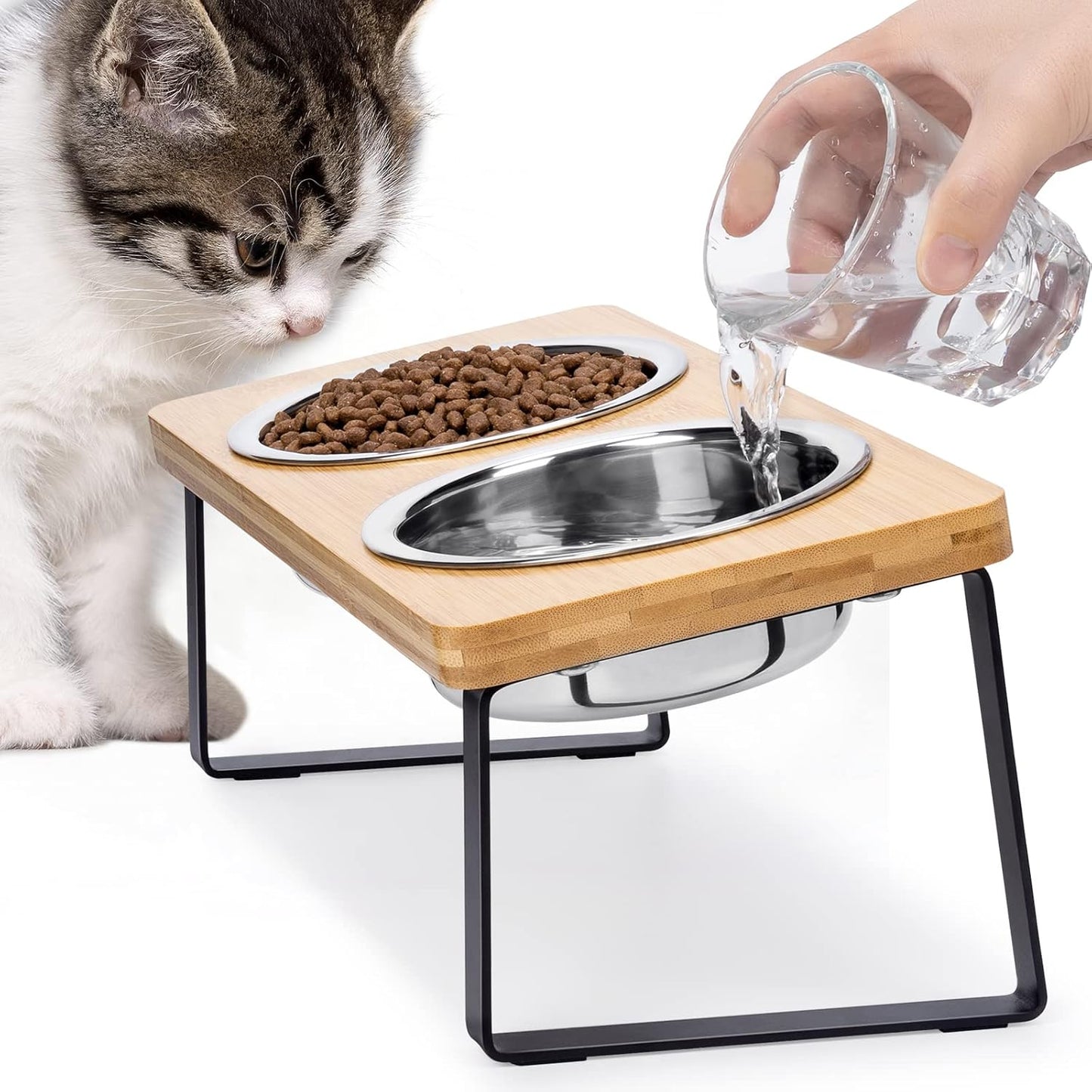 Elevated Cat Bowls for Food and Water - 15° Tilted Raised Stainless Steel Cat Food Bowl with Bamboo Stand and Anti Vomit Feeding Station for Indoor Cats and Pet…