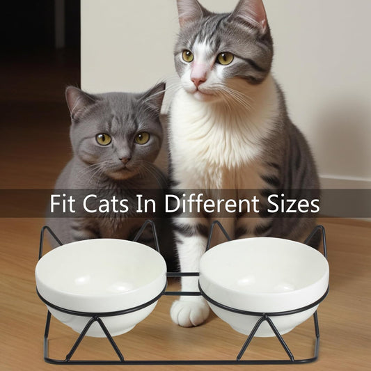 Elevated Tilted Cat Bowls for Indoor Cats，Raised Ceramic Cat Bowl Elevated 15°,Pet Feeding Bowls for Food and Water Anti Vomiting Bowl(Double Ceramics and Tilt Shelf) Suitable